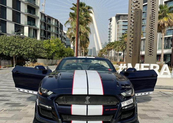 Ford Mustang 2019 (1)