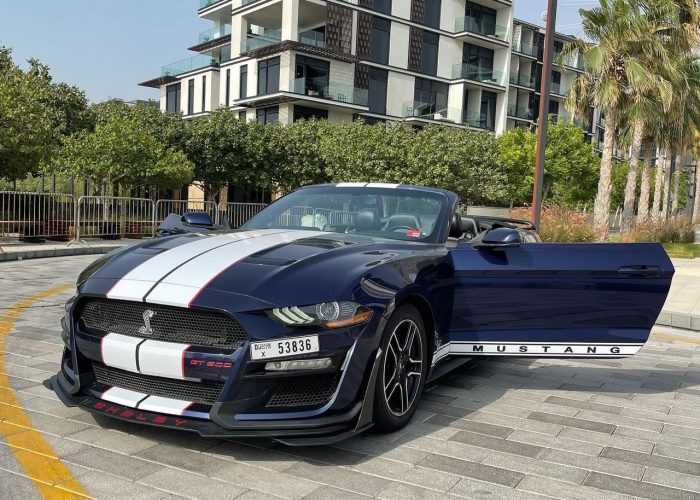 Ford Mustang 2019 (2)