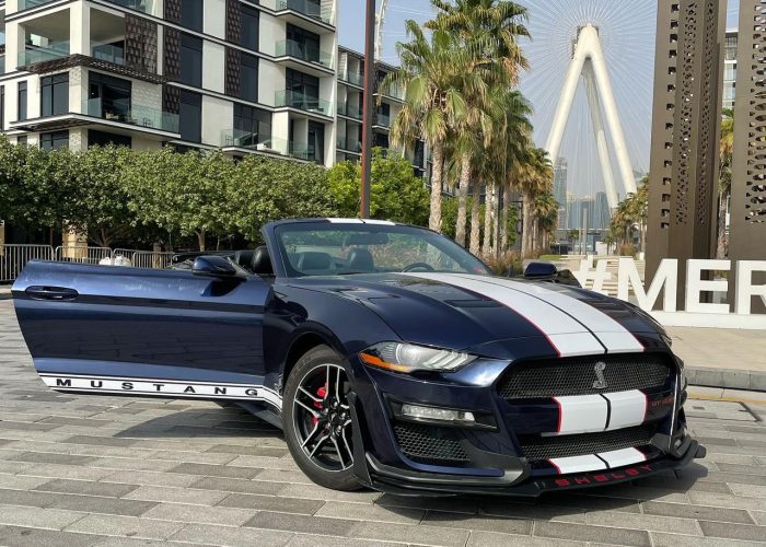 Ford Mustang 2019 (3)