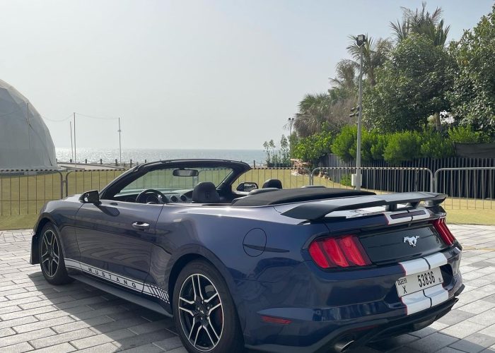 Ford Mustang 2019 (4)