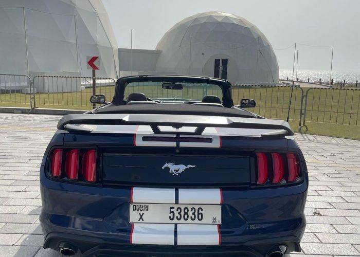 Ford Mustang 2019 (5)