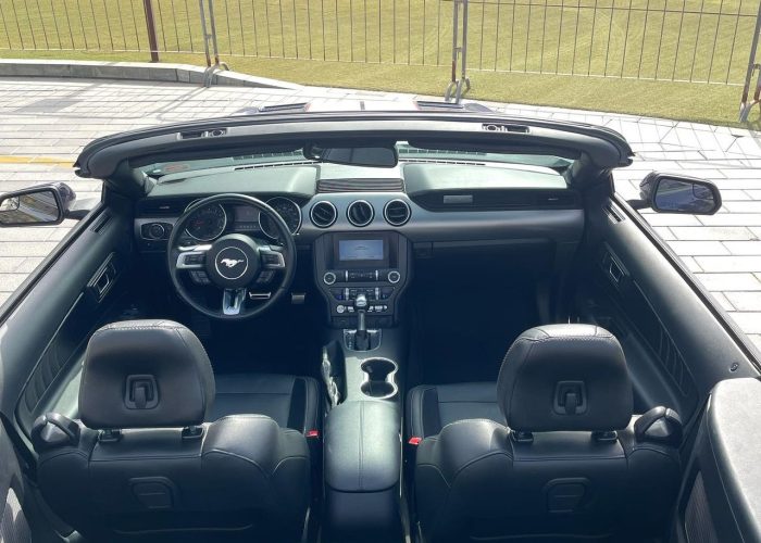 Ford Mustang 2019 (6)