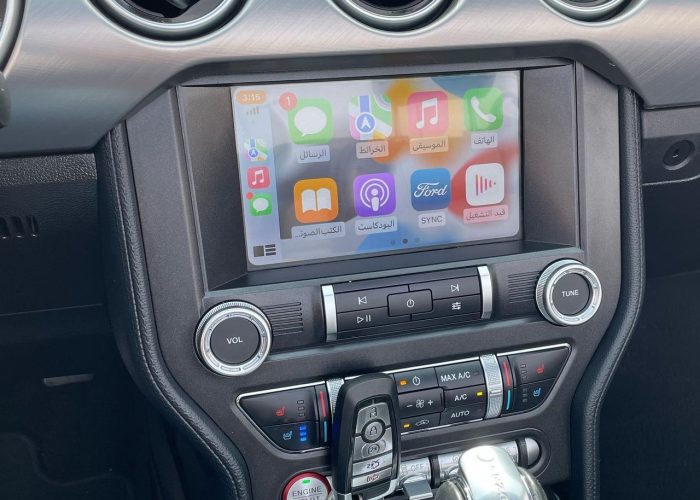 Ford Mustang 2019 (7)
