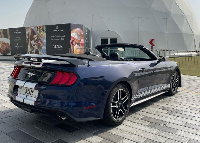 Ford Mustang 2019 (8)