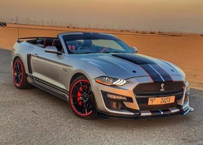 Ford Musting 2019 (2)