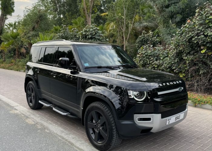 Land Rover Defender P110 2024 (11)