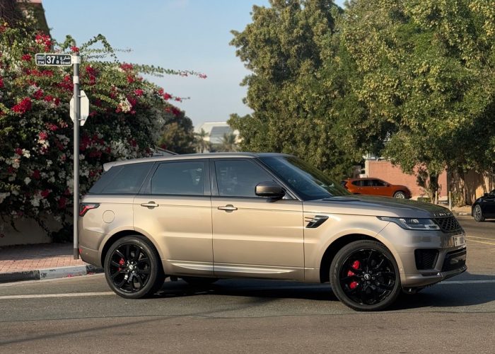 Range Rovers (7)