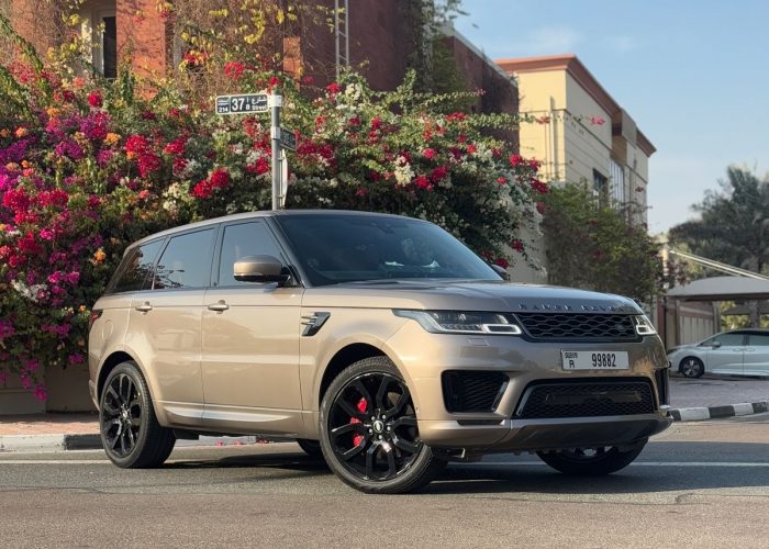 Range Rovers (8)